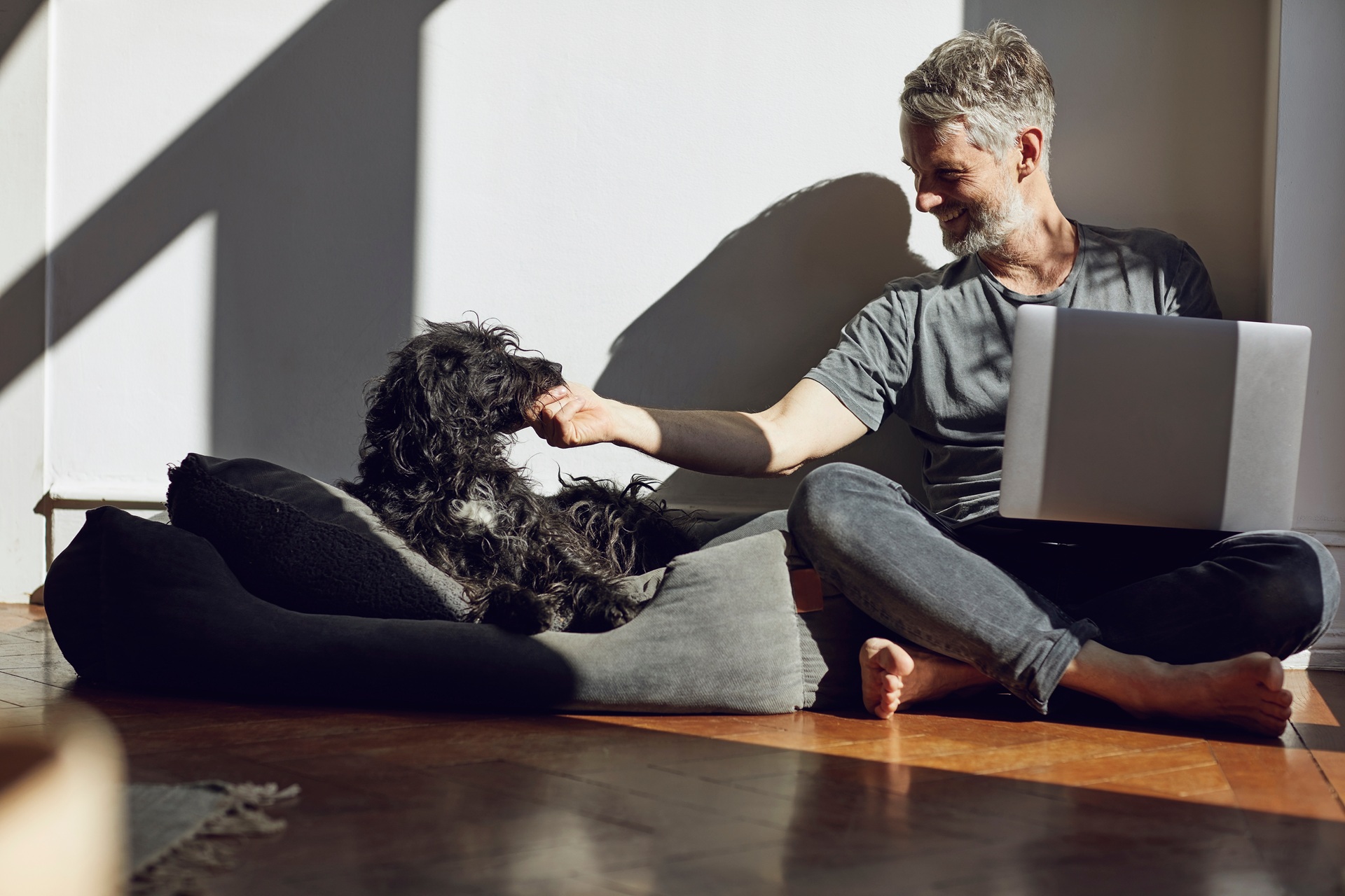 Arbeiten mit Hund zu Hause | Hundefutter für Allergiker


